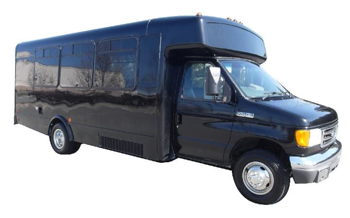 20 passenger party bus rentals
